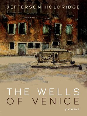 cover image of The Wells of Venice